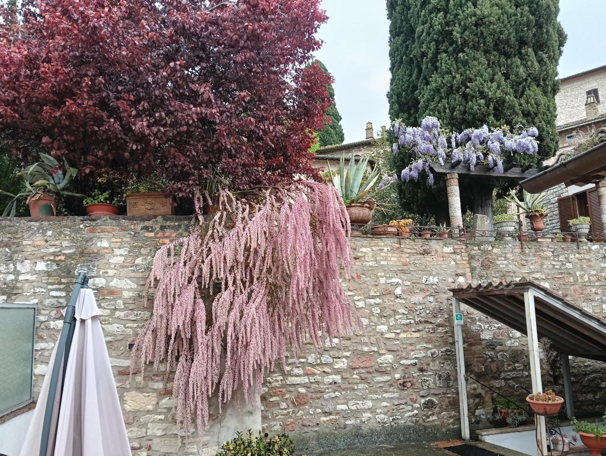 Appartamenti Santa Chiara Assisi Exterior foto